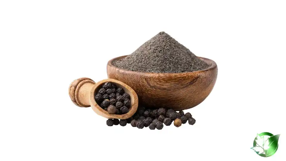 Bulk Black Pepper | Suppliers | Wholesale | ParsaFood Global